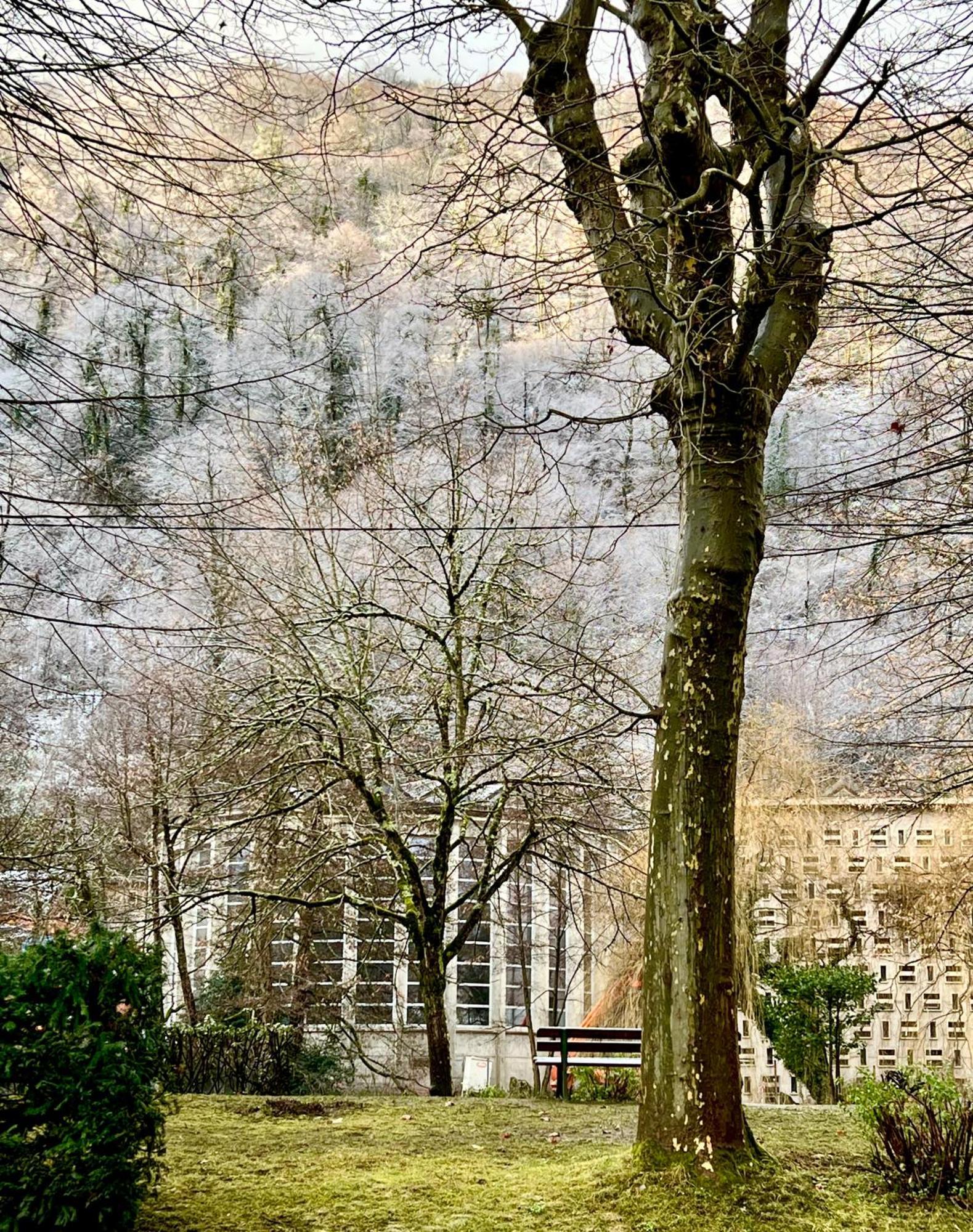 Fantastic Ground Floor Apartment Opposite Thermes Bagneres-de-Luchon Luaran gambar