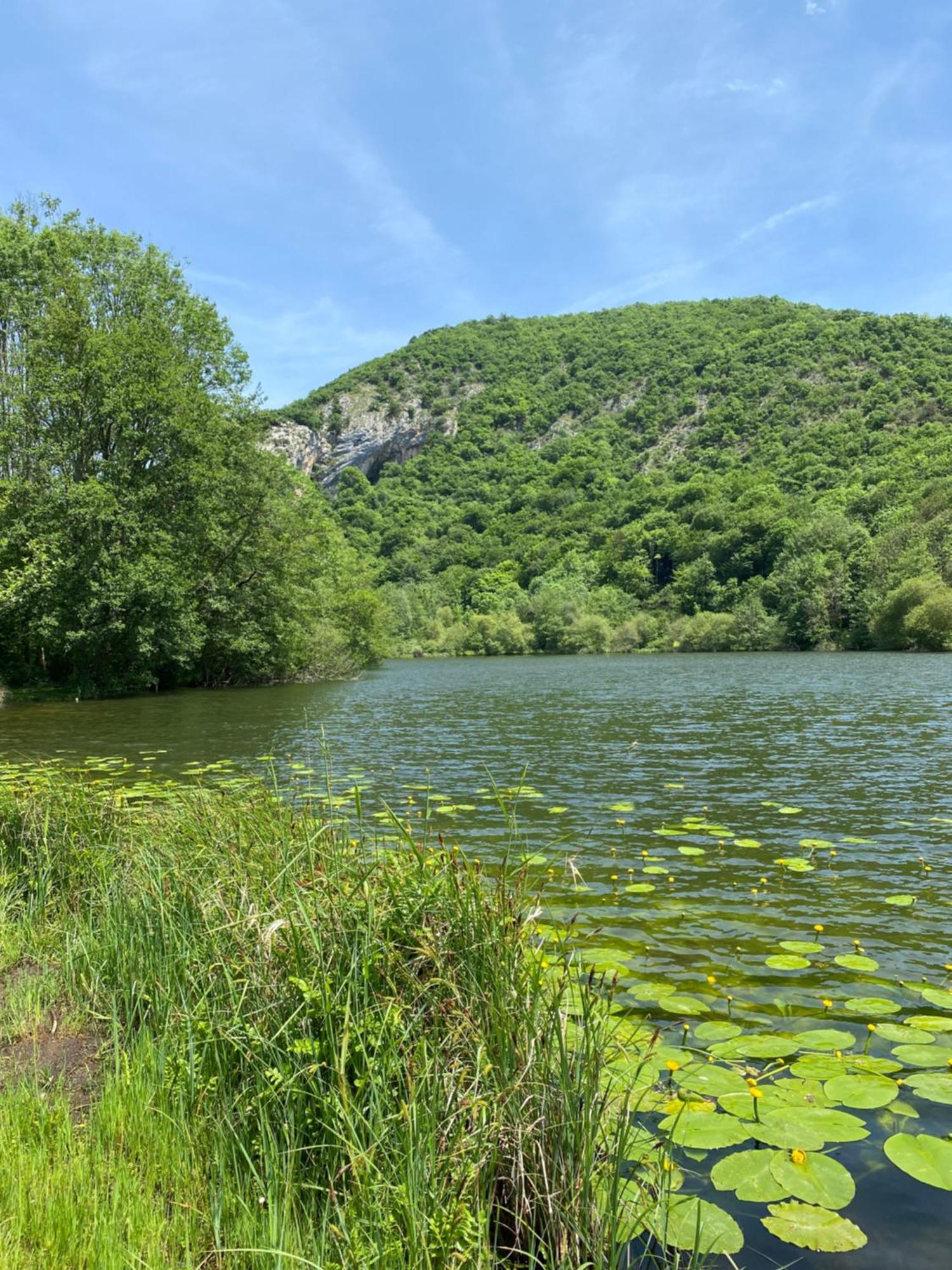 Fantastic Ground Floor Apartment Opposite Thermes Bagneres-de-Luchon Luaran gambar
